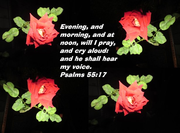 © Photo Artist Susan Ruth Robertson 090025006100 029 - Copy (2)