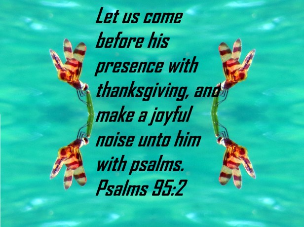 © Photo Artist Susan Ruth Robertson 090025006100 031 - Copy - Copy (2).JPG