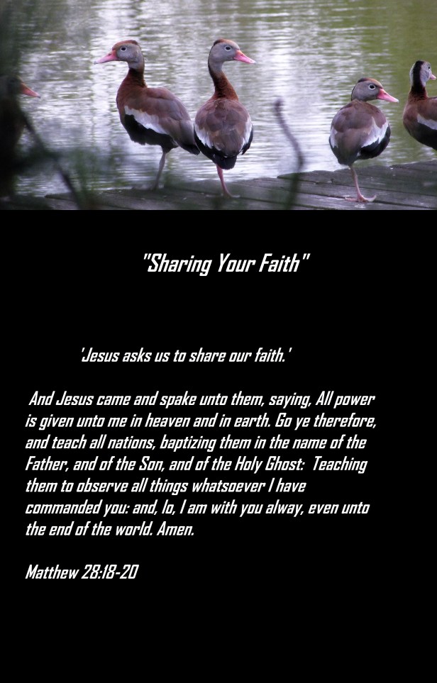 © Photo Artist Susan Ruth Robertson 090025006100 188 - Copy.jpg