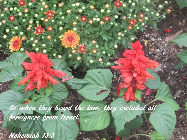 © Photo Artist Susan Ruth Robertson 090025006100   (3) - Copy.JPG