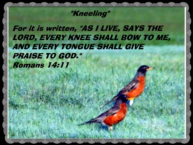 ©Photo Artist Susan Ruth Robertson 090025006100 025 - Copy.JPG