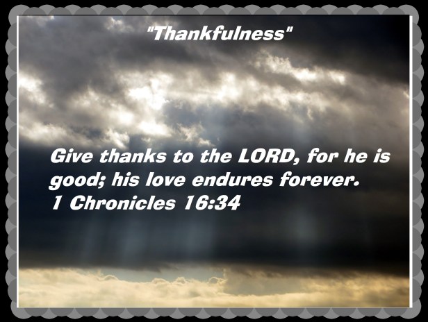 © Phot Artist Susan Ruth Robertson 090025006100 001.JPG