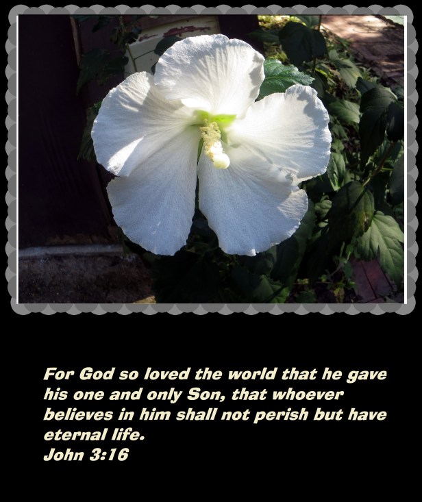 © Photo Artist Susan Ruth Robertson 090025006100 002 - Copy (3)