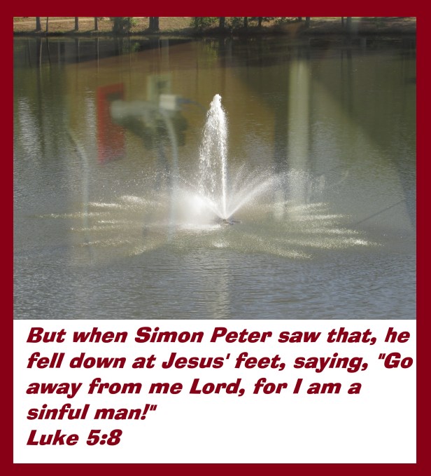 © Photo Artist Susan Ruth Robertson 090025006100 002 - Copy.JPG