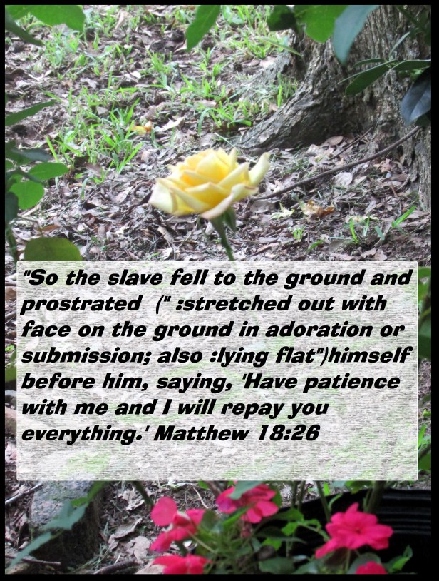 © Photo Artist Susan Ruth Robertson 090025006100 005 - Copy.JPG