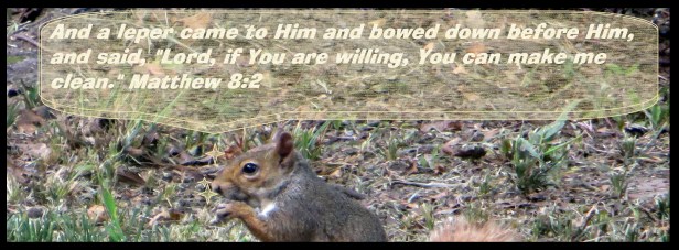 © Photo Artist Susan Ruth Robertson 090025006100 012.JPG