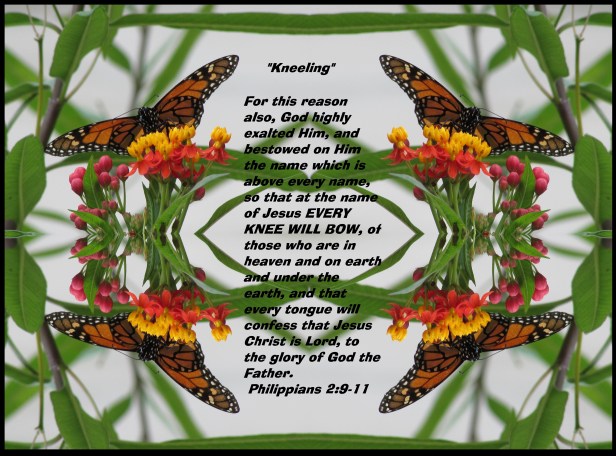 © Photo Artist Susan Ruth Robertson 090025006100 035 - Copy.JPG