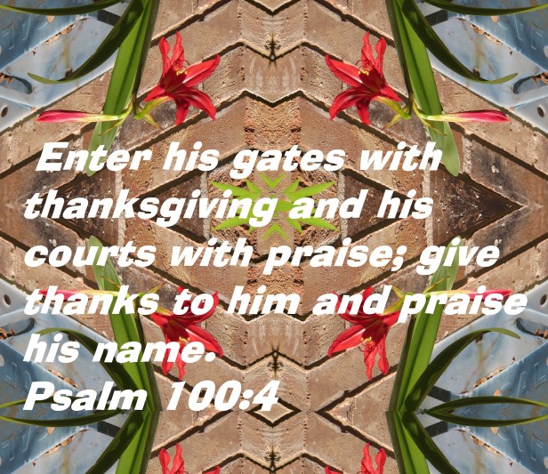 © Photo Artist Susan Ruth Robertson 090025006100 (37) - Copy - Copy