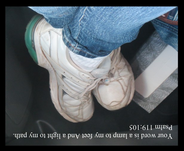 © Photo Artist Susan Ruth Robertson090025006100 098 - Copy