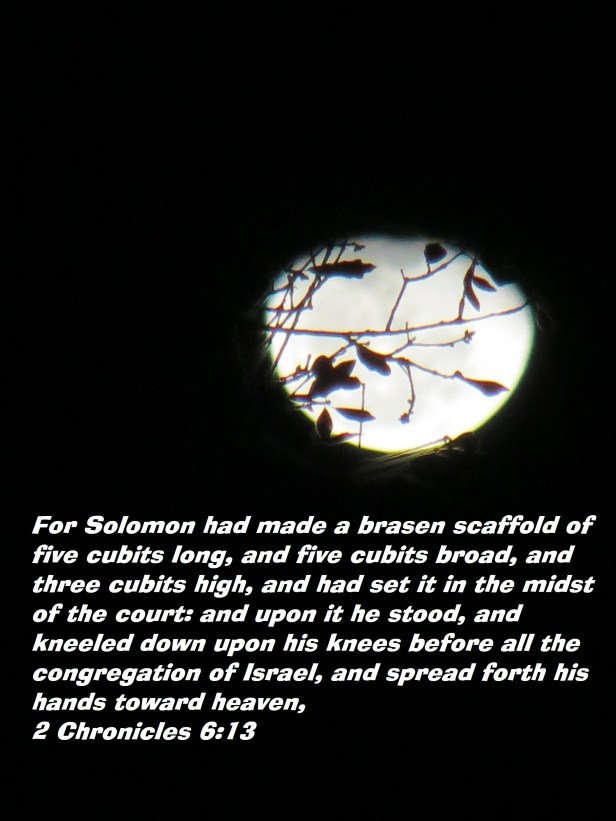 Peanuts &amp; Baby crane &amp; beautiful sceenery 2013 feb 003 - Copy