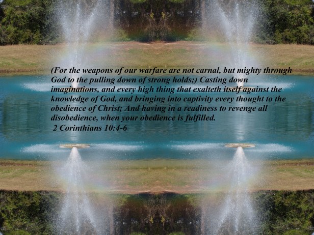 Photo Artist Susan Robertson (1) - Copy - Copy - Copy