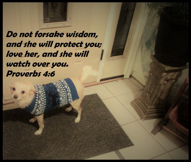 © Artist & Writer & Photo Artist Susan Ruth Robertson 0900254006100 007.JPG