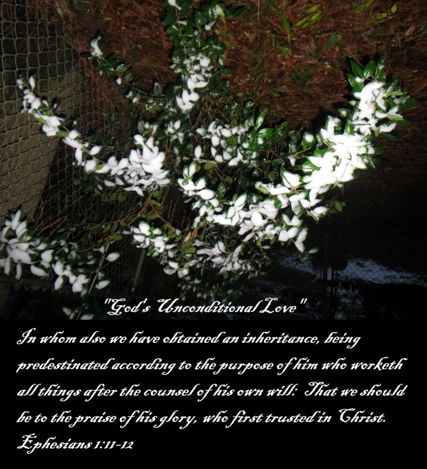 © Photo Artist Susan Ruth Robertson 090025006100 009 - Copy.JPG