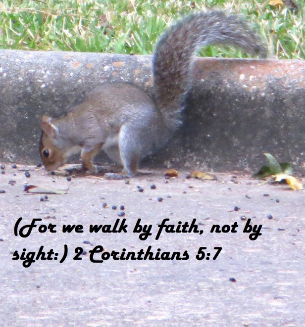 © Photo Artist Susan Ruth Robertson 090025006100 016 - Copy.JPG