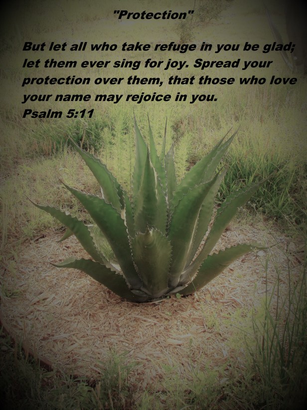 © Photo Artist Susan Ruth Robertson 090025006100 017 (2).JPG