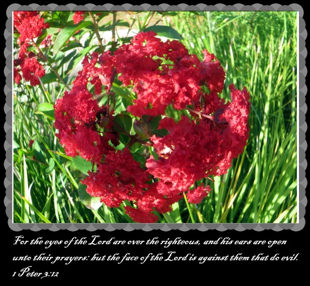 © Photo Artist Susan Ruth Robertson 090025006100 024.JPG