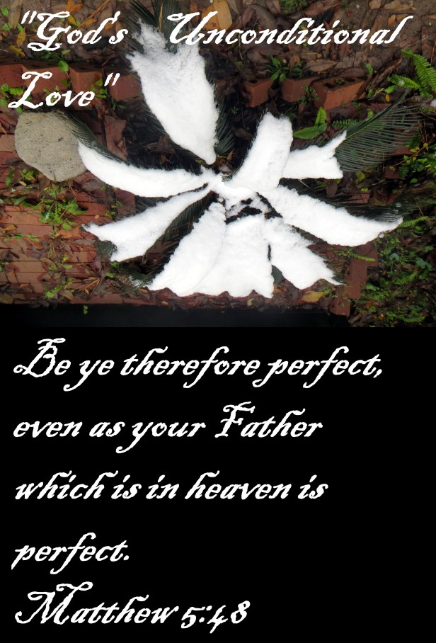 © Photo Artist Susan Ruth Robertson 090025006100 025 - Copy.JPG