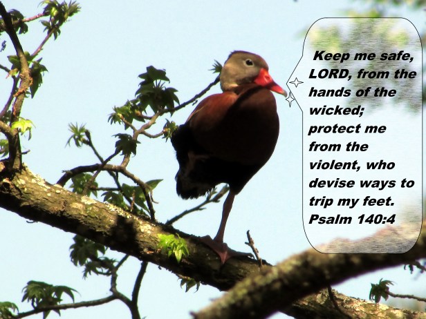 © Photo Artist Susan Ruth Robertson 090025006100 041.JPG