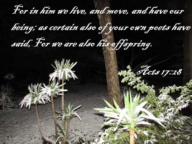 © Photo Artist Susan Ruth Robertson 090025006100 052 - Copy.JPG