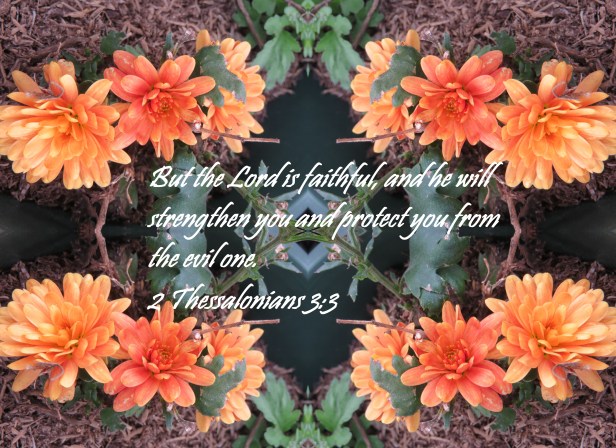 Photo Artist Susan Robertson all Rights Reserved 013 - Copy