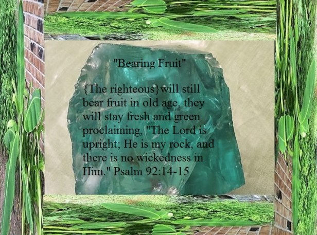 10423658_797278213650222_8102194837419756721_n - Copy.jpg