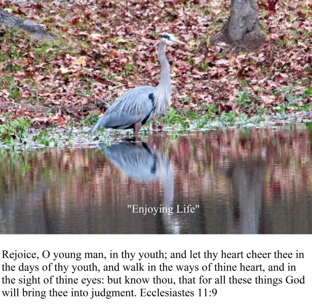 © Photo Artist Susan Ruth Robertson 090025006100 004 - Copy.JPG