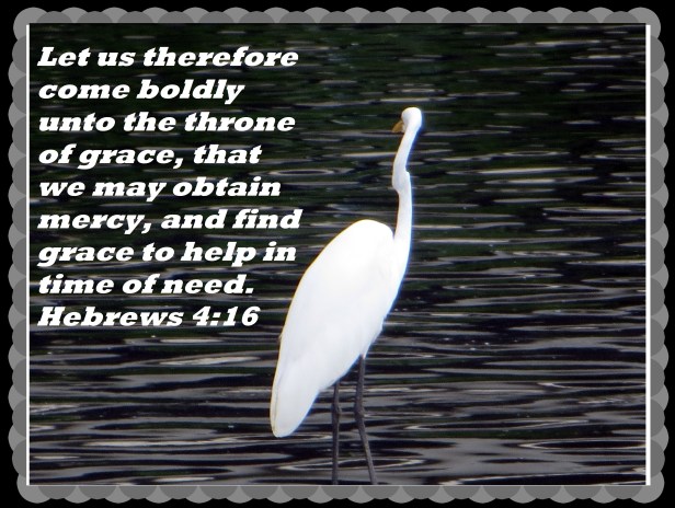 © Photo Artist Susan Ruth Robertson 090025006100 009 - Copy.JPG