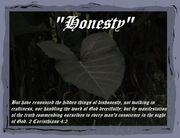 © Photo Artist Susan Ruth Robertson 090025006100 013 - Copy.JPG