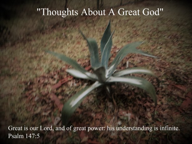 © Photo Artist Susan Ruth Robertson 090025006100 015 - Copy.JPG