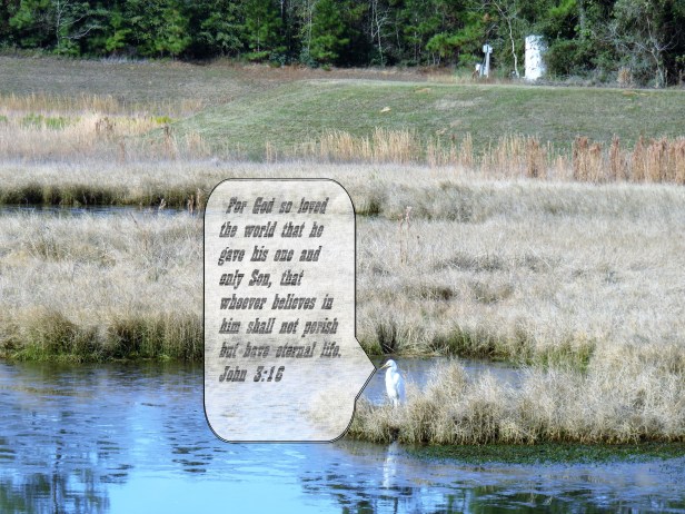 © Photo Artist Susan Ruth Robertson 090025006100 025 - Copy.JPG