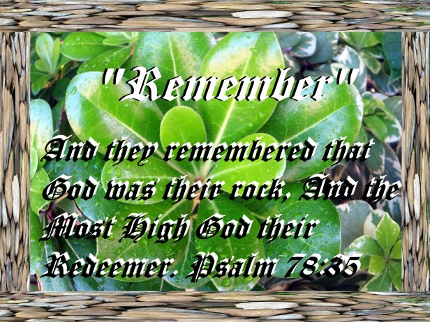 © Photo Artist Susan Ruth Robertson 090025006100 043 - Copy.JPG