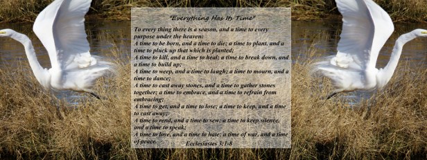 © Photo Artist Susan Ruth Robertson 090025006100 075 - Copy.JPG