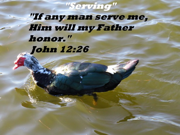 © Photo Artist Susan Ruth Robertson 090025006100 131.JPG