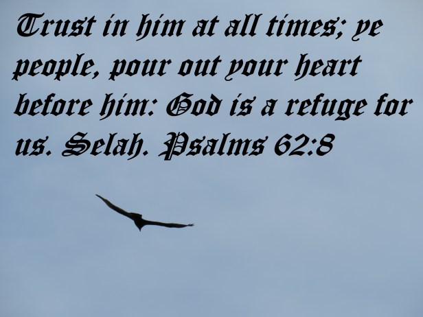 © Photo Artist Susan Ruth Robertson 090025006100 140 - Copy.JPG