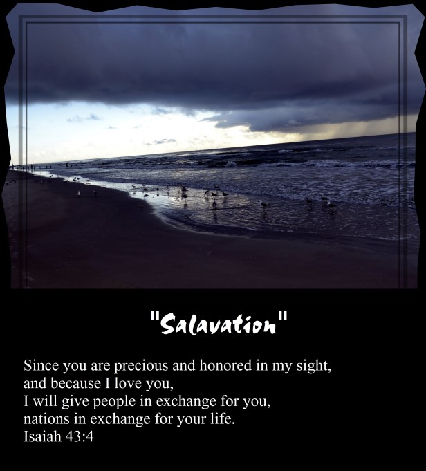 © Susan Ruth Robertson 090025006100 003 - Copy.JPG