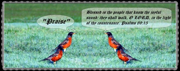 ©Photo Artist Susan Ruth Robertson 090025006100 025 - Copy (2).JPG