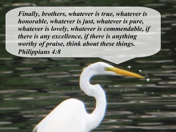 © Photo Artist Susan Ruth Robertson 090025006100 007 - Copy.JPG