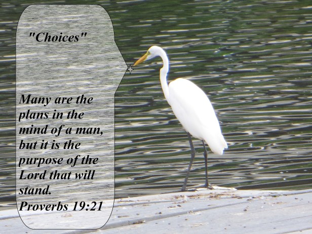 © Photo Artist Susan Ruth Robertson 090025006100 012 - Copy.JPG