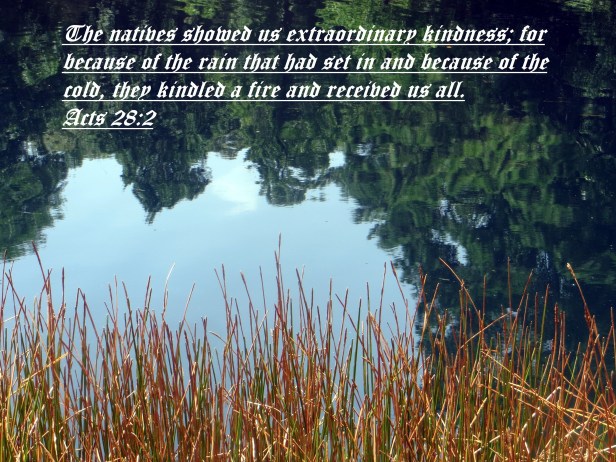 © Photo Artist Susan Ruth Robertson 090025006100 051 - Copy.JPG