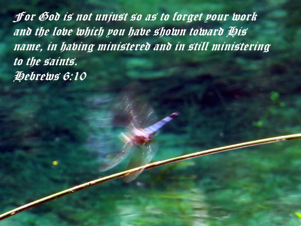 © Photo Artist Susan Ruth Robertson 090025006100 056 - Copy.JPG