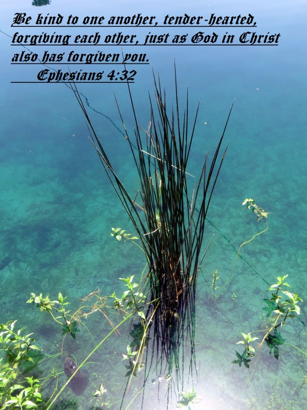 © Photo Artist Susan Ruth Robertson 090025006100 057 - Copy.JPG