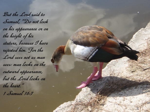 © Photo Artist Susan Ruth Robertson 090025006100 078 - Copy.JPG