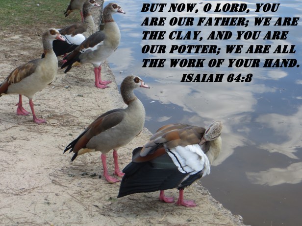 © Photo Artist Susan Ruth Robertson 090025006100 080 - Copy.JPG