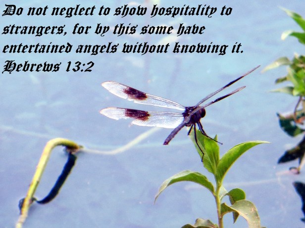 © Photo Artist Susan Ruth Robertson 090025006100 084 - Copy.JPG