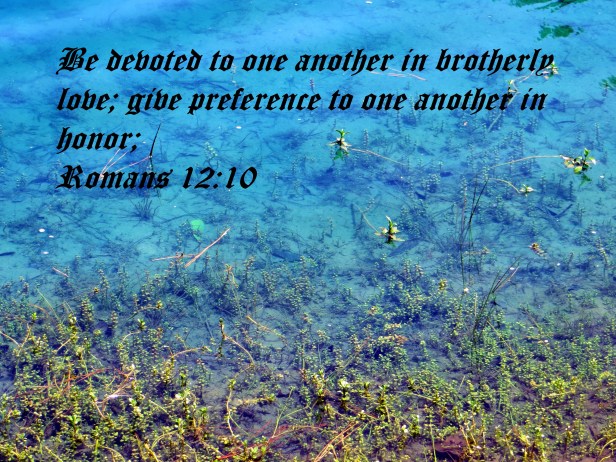 © Photo Artist Susan Ruth Robertson 090025006100 088 - Copy.JPG