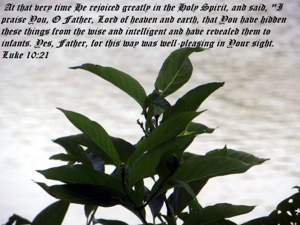 © Photo Artist Susan Ruth Robertson 090025006100 103 - Copy.JPG