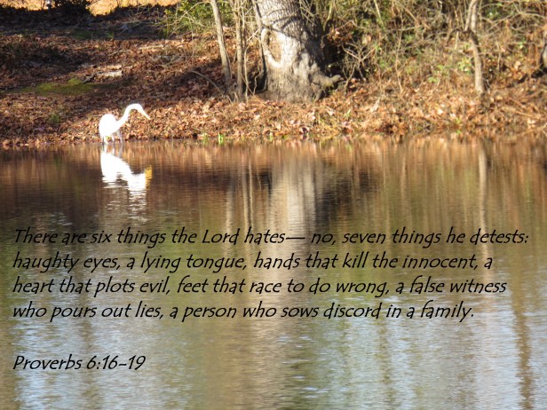 © Photo Artist Susan Ruth Robertson 090025006100 125 - Copy.JPG