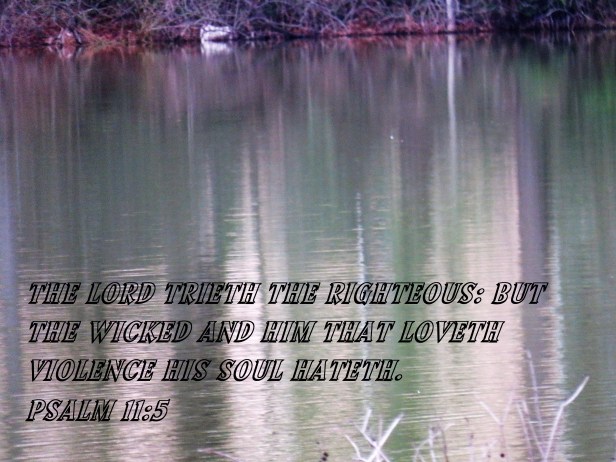 © Photo Artist Susan Ruth Robertson 090025006100 SX540HS 032 - Copy.JPG