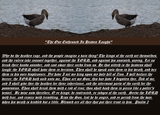 © Photo Artist Susan Ruth Robertson 090025006100 SX540HS 043 - Copy.JPG