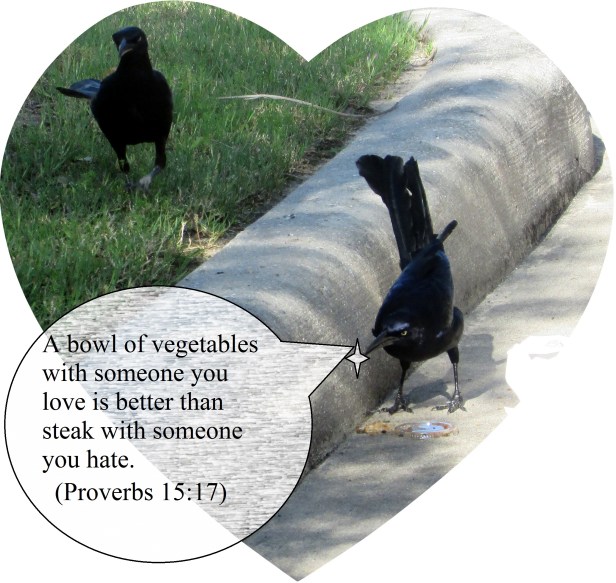 © Photo Artist Susan Ruth Robertson 090025006100 (105) - Copy.JPG